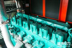 常見柴油機型號的含義是什么？